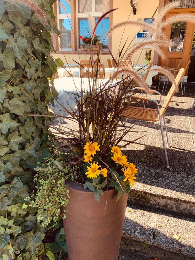 Hotel Roessli Allschwil Exterior photo